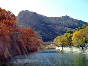 新澳天天开奖资料大全旅游团，七号宿舍